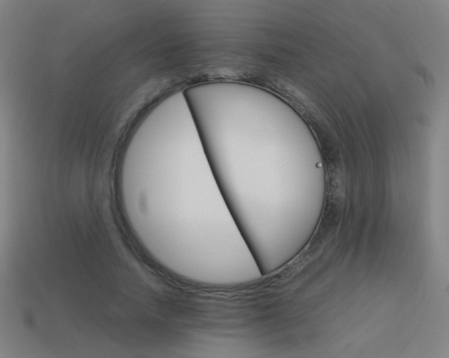X0000114150738200910081112