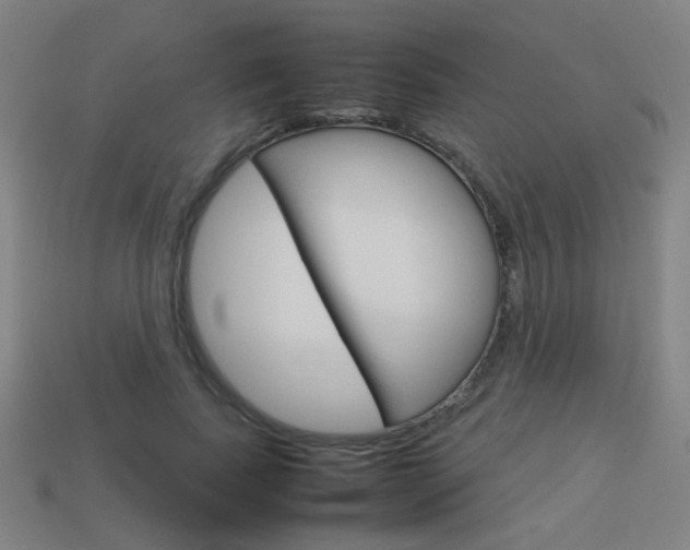X0000114150739200910081112