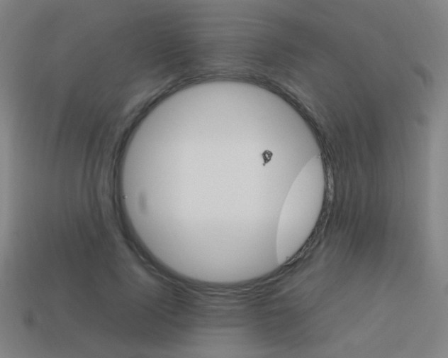 X0000114150740200910081112