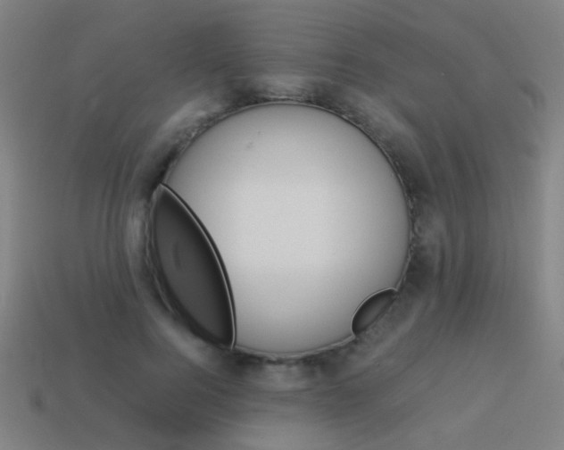 X0000114150744200910081112