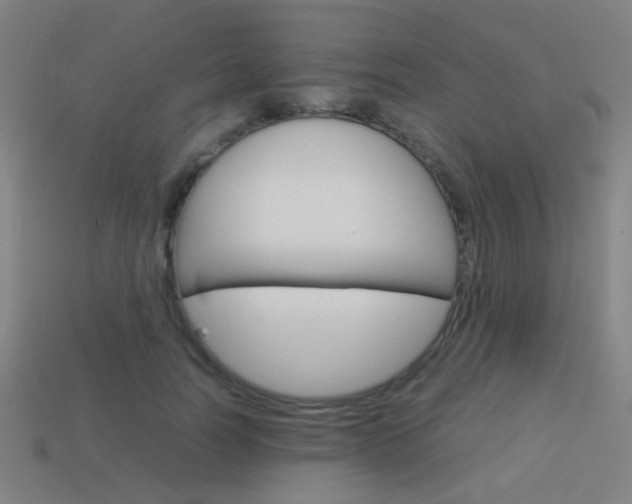 X0000114150746200910081112