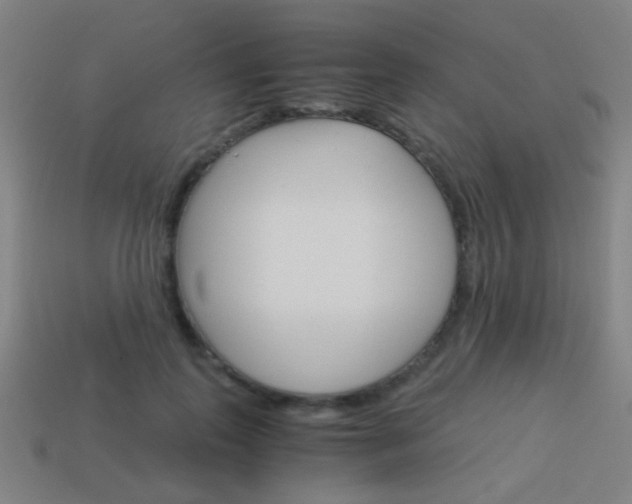 X0000114150747200910081112