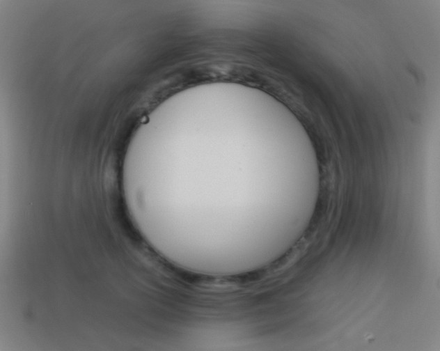 X0000114150754200910081112