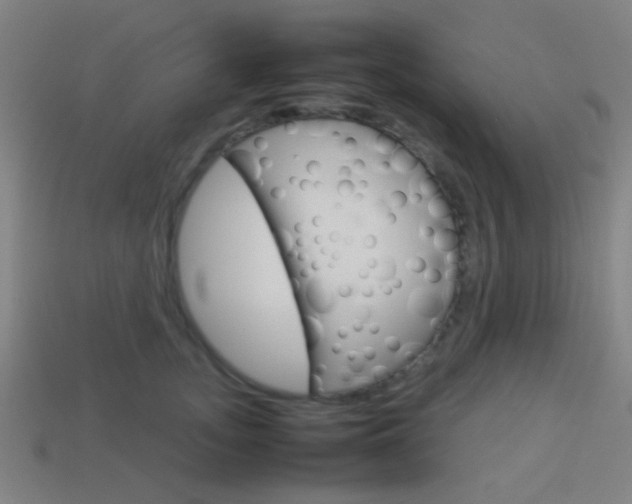 X0000114150755200910081112