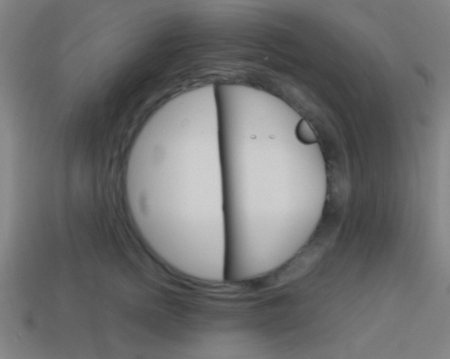 X0000114150758200910081112