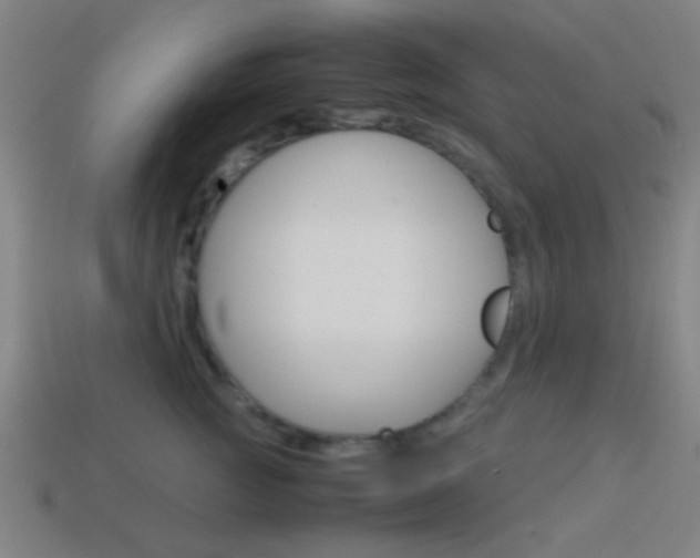 X0000114150761200910081112