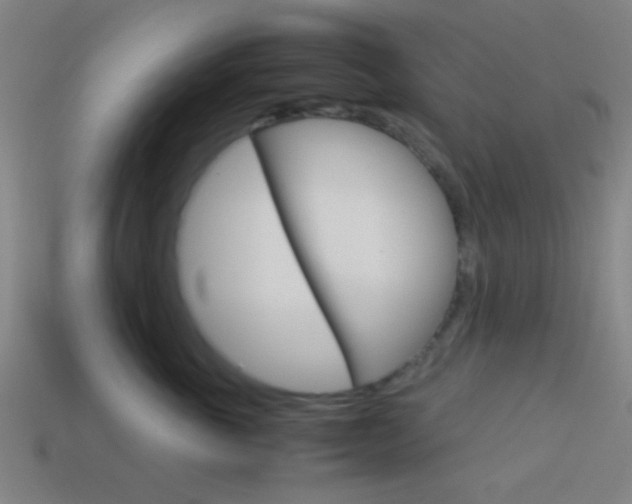 X0000114150763200910081112