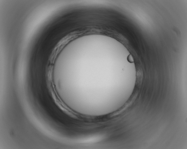 X0000114150765200910081113