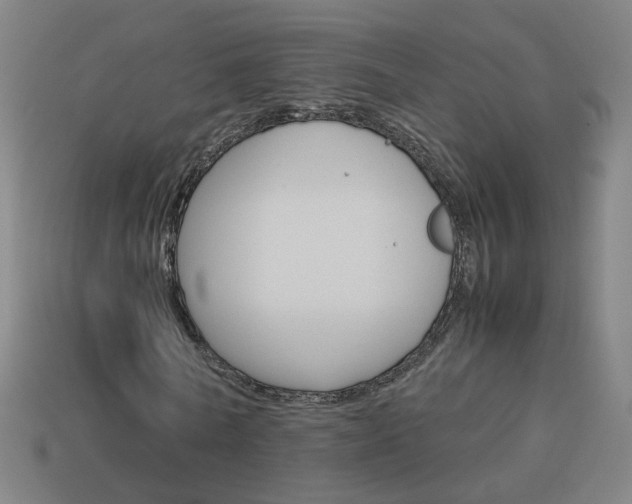 X0000114150770200910081112