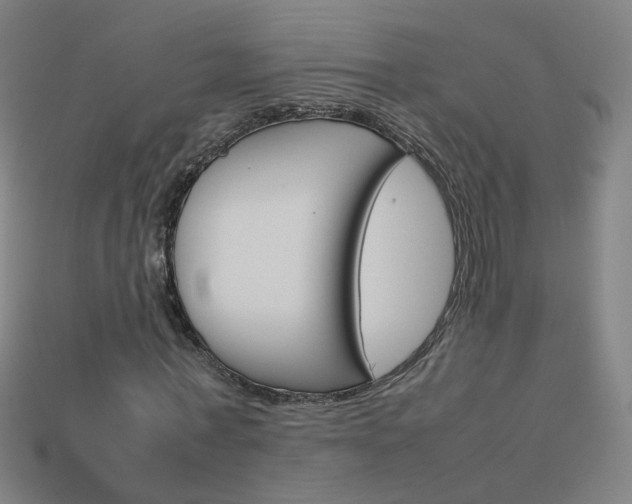 X0000114150771200910081112