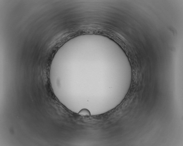 X0000114150774200910081112