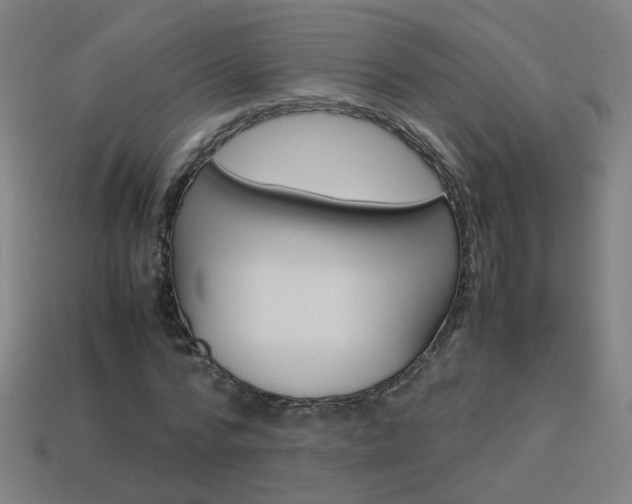X0000114150776200910081112