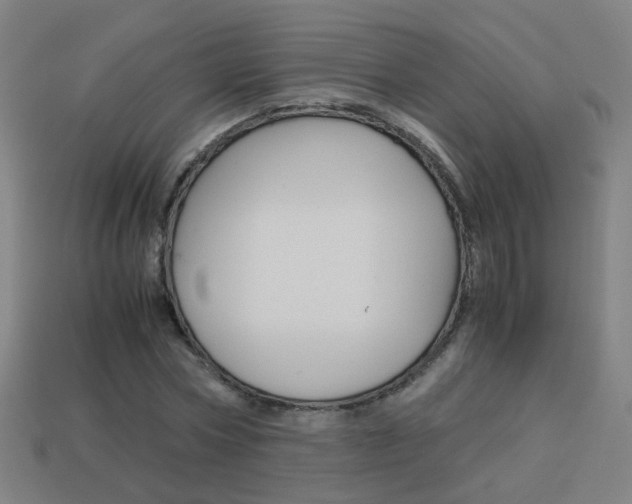 X0000114150778200910081112
