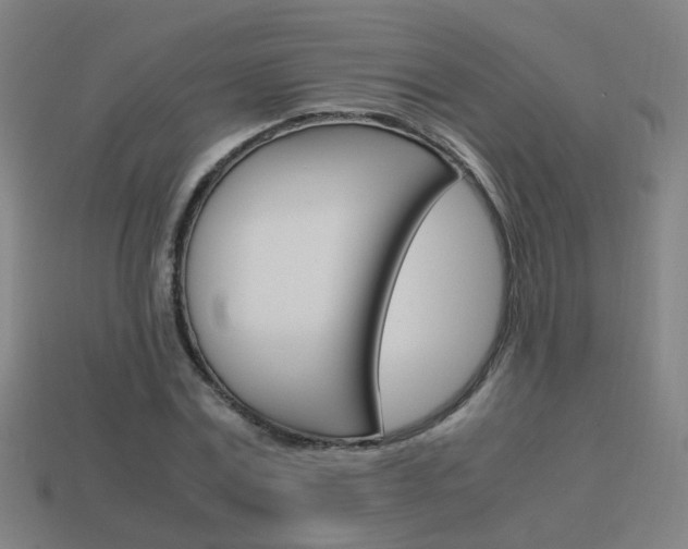 X0000114150779200910081112