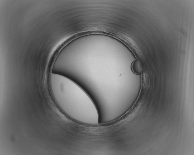 X0000114150780200910081112
