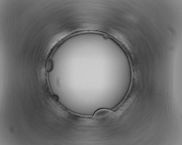 X0000114150781200910081112