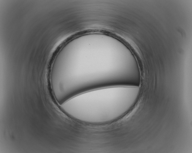 X0000114150783200910081112