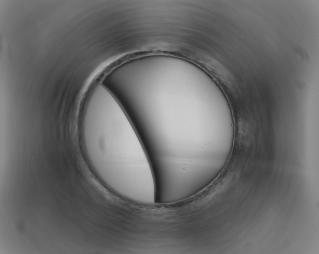 X0000114150784200910081112