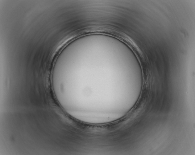 X0000114150786200910081112