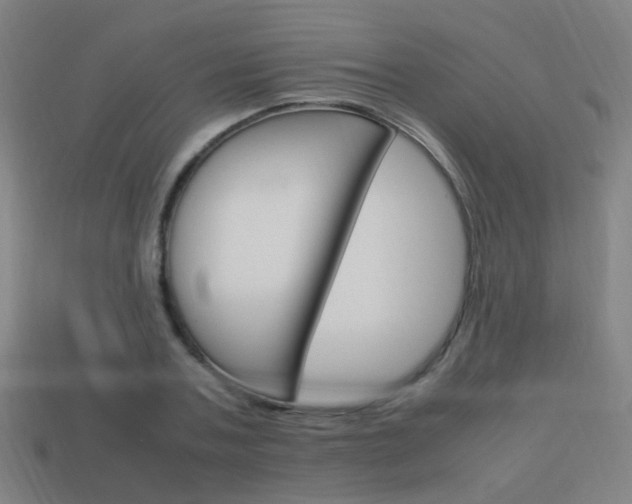 X0000114150787200910081112
