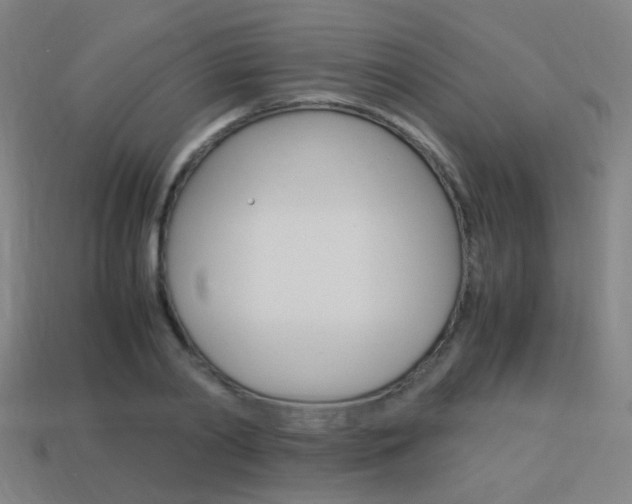 X0000114150790200910081112