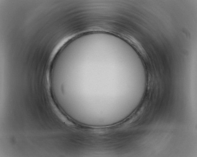 X0000114150796200910081112