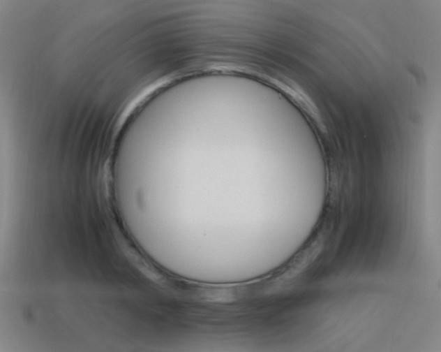 X0000114150798200910081112