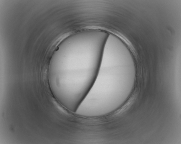X0000114150801200910081112