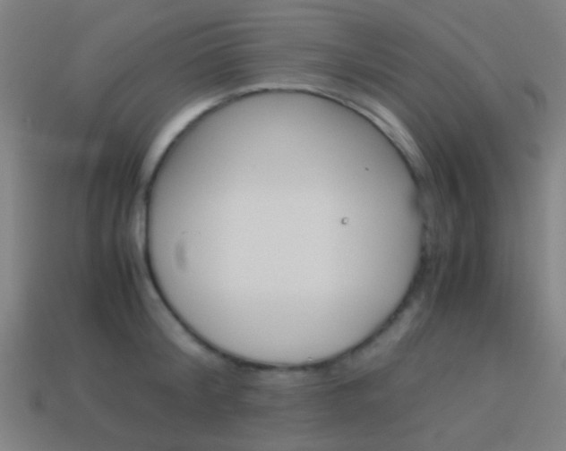 X0000114150804200910081111
