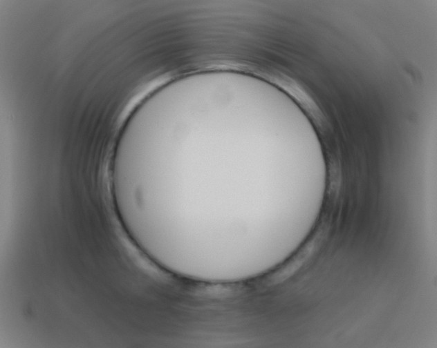 X0000114150806200910081111