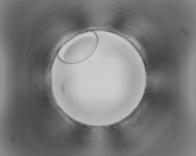 X0000114150807200910081111
