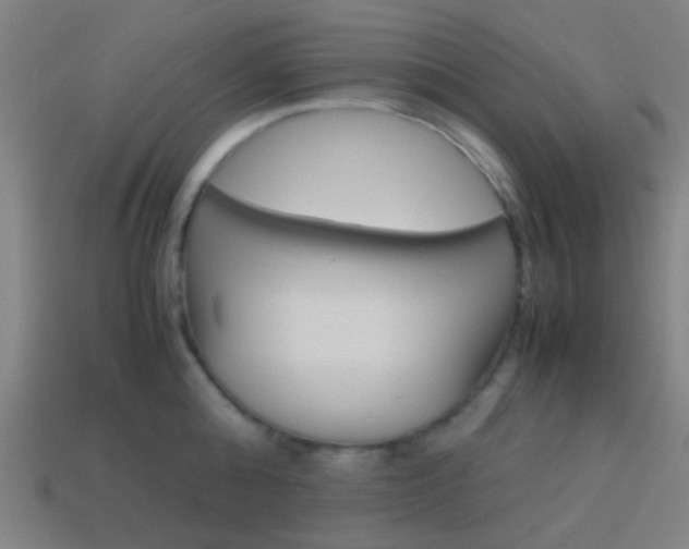 X0000114150808200910081111
