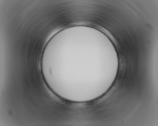 X0000114150810200910081111