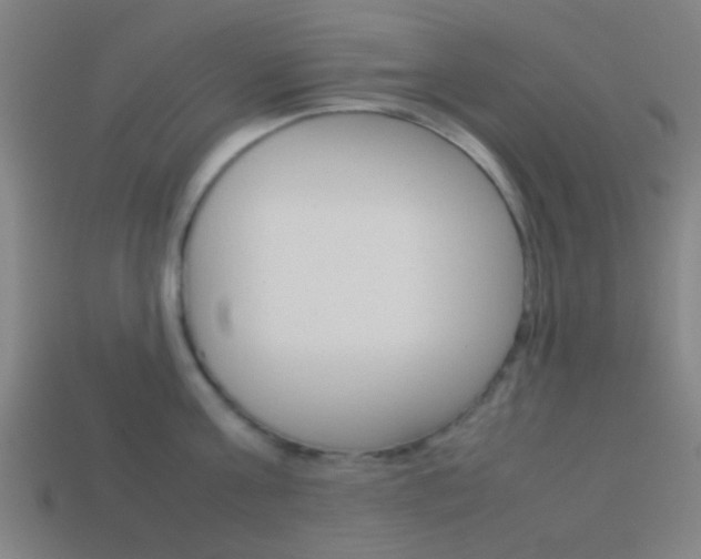 X0000114150811200910081111