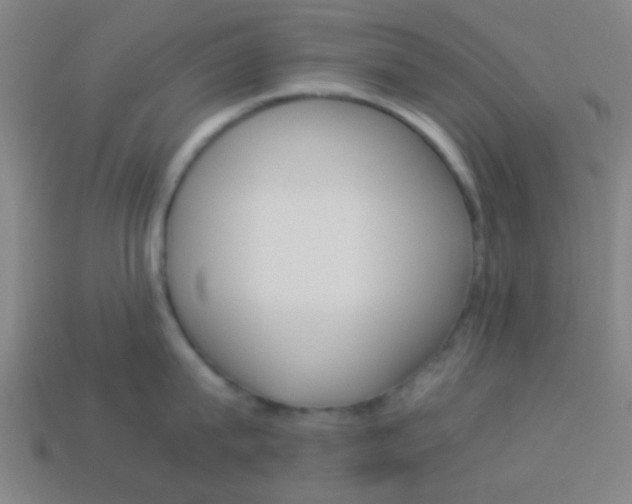 X0000114150815200910081111