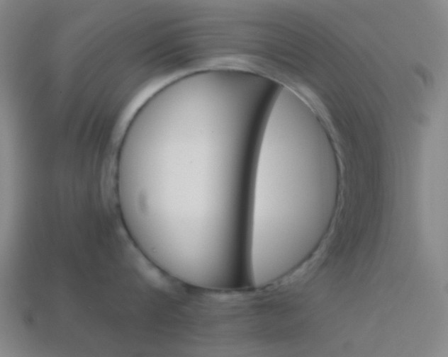 X0000114150816200910081111