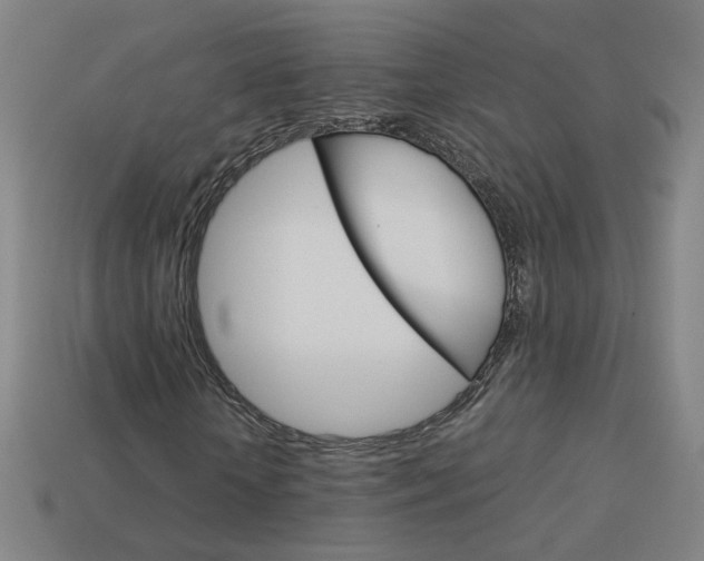 X0000114150818200910081111