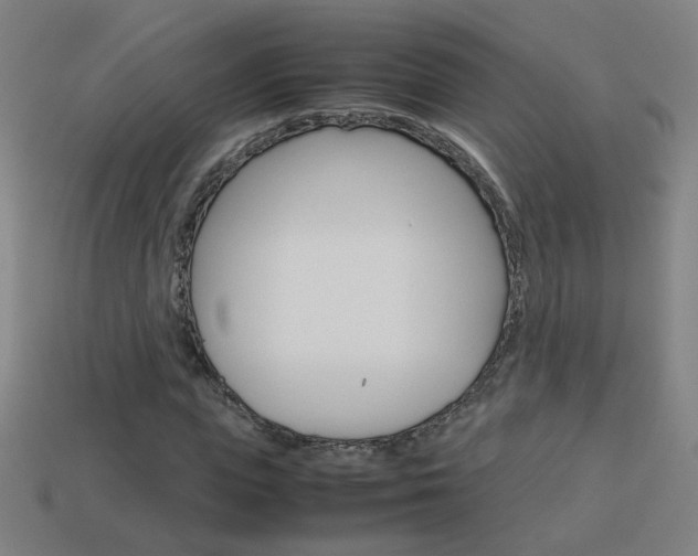 X0000114150823200910081111