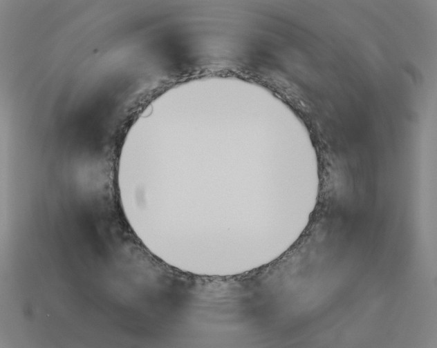 X0000114150824200910081111