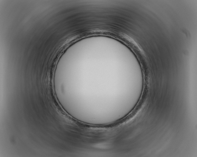 X0000114150825200910081111