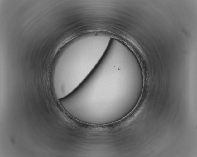 X0000114150826200910081111