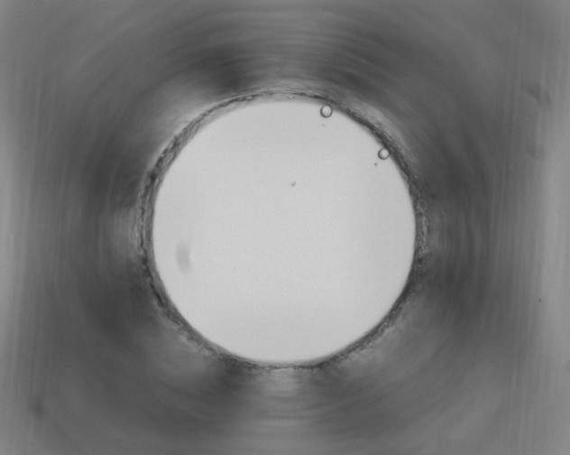 X0000114150828200910081111