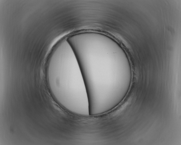 X0000114150830200910081111