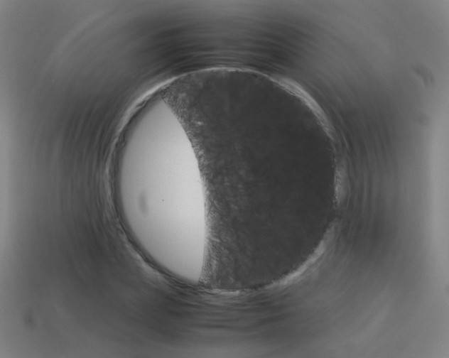 X0000114150831200910081111