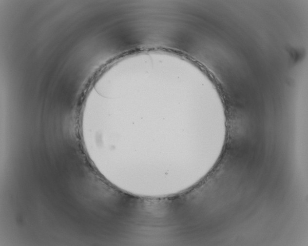 X0000114150832200910081111