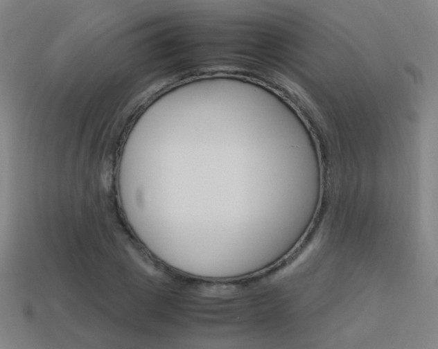 X0000114150833200910081111