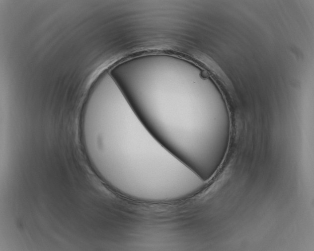 X0000114150834200910081111