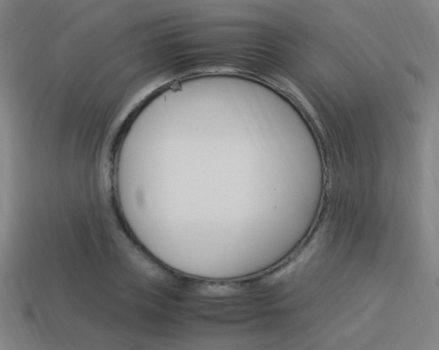 X0000114150835200910081111