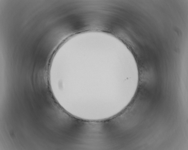 X0000114150836200910081111