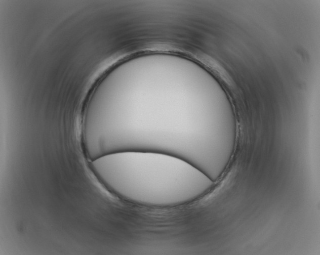 X0000114150839200910081111